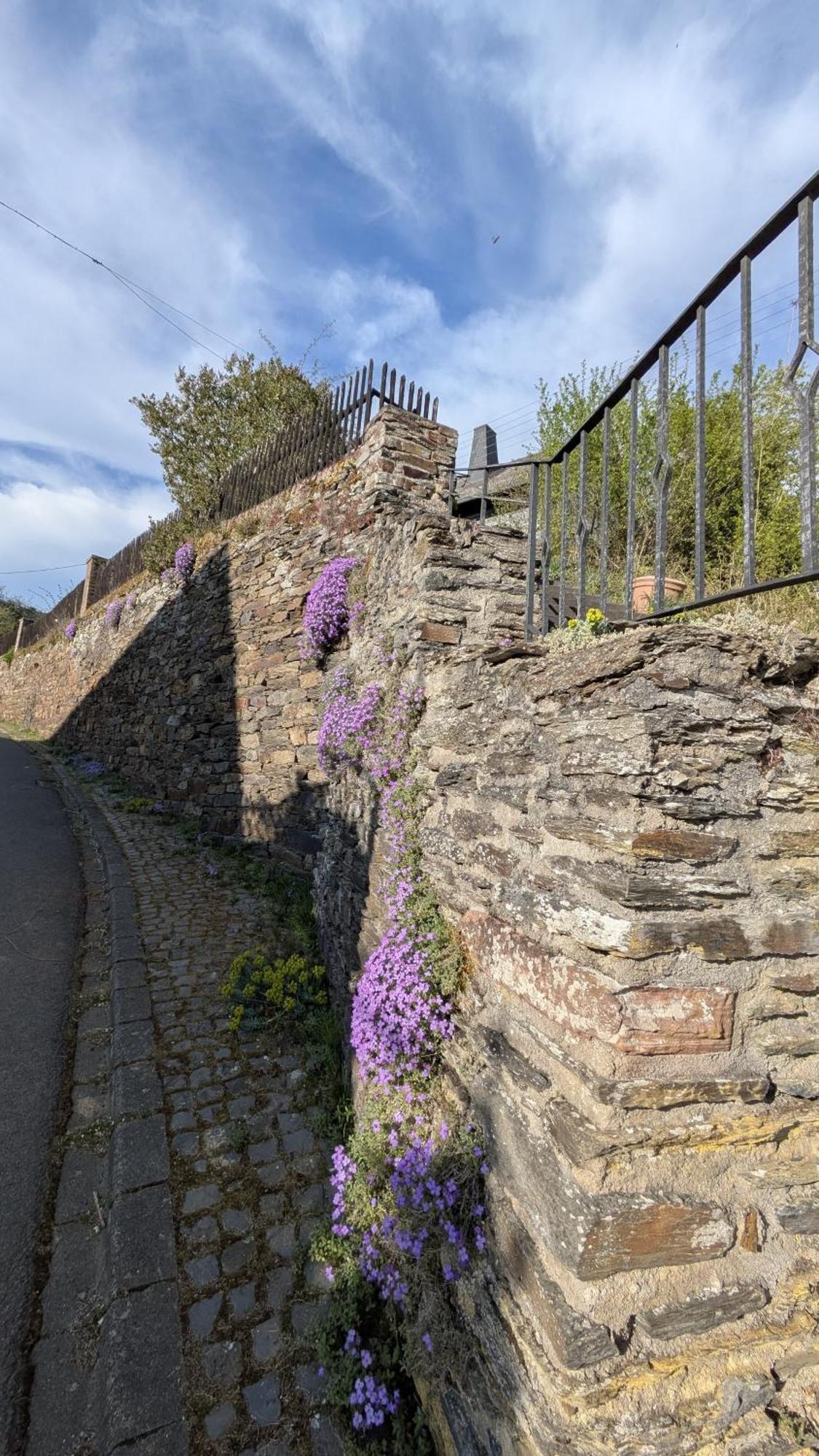Zum Alten Pfarrhaus Damscheid エクステリア 写真